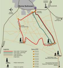 zielona-i-czerwona-poligon-951x1024 zielona-i-czerwona-poligon-951x1024